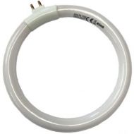 Repuesto fluorescente pequeño