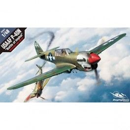 Avión USAAF P-40N Battle of Imphal  Escala: 1/48