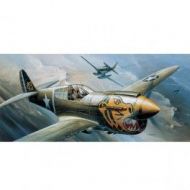 Avión "Warhawk" P-40E  Escala 1/72