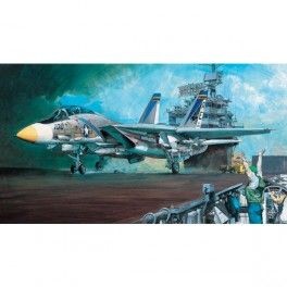 Avión "Tomcat" F-14A  Escala 1/48