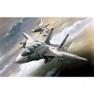 Avión F-14A, escala 1/144
