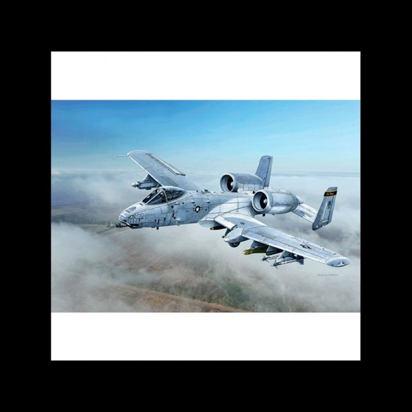 AVIÓN A-10C BLACKSNAKES 1:48