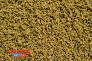 Musgo ocre seco