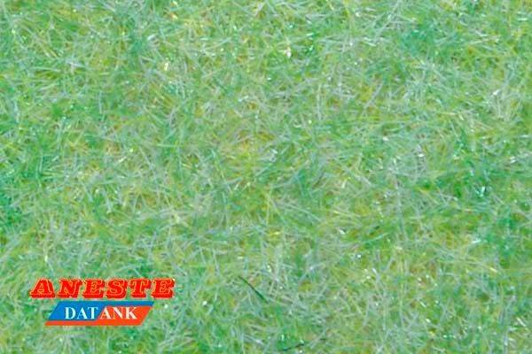 Césped verde prado