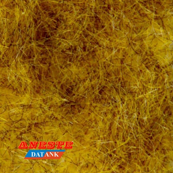 Césped amarillo trigo