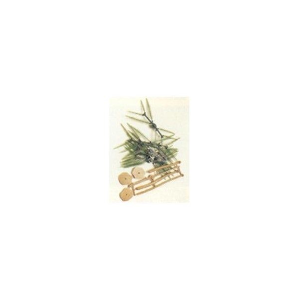 Palmera