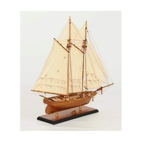 Flying Fish